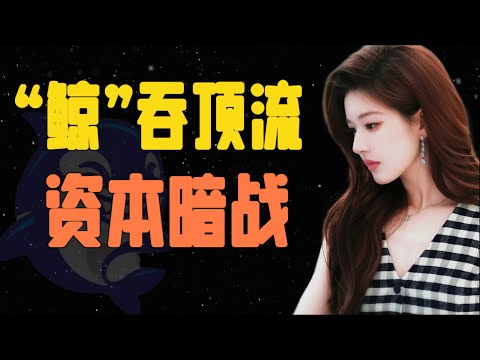 赵露思音乐会背后的商业博弈:一场音乐会,两场资本局,“铁三角