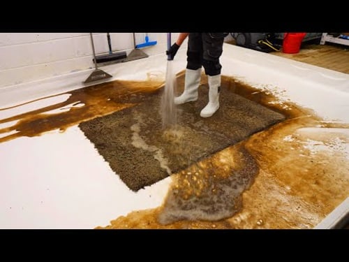 The Incredible Recovery of a Discarded Rug: From Flood-Damaged to Beautifully Restored !