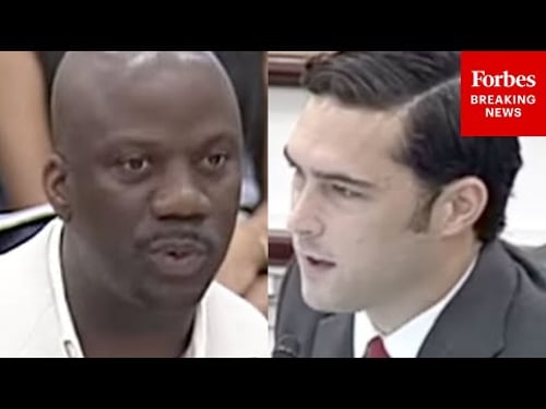 'I Did Not Call You A Racist': Gill & Dem Witness Have Very Tense Interchange On Hiring & Admissions