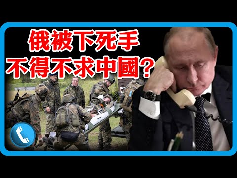 普丁急下總統令,這次不得不求中國?川普坐不住了,一件事刺激俄,中方態度明確了!#竇文濤 #圓桌派 #中美關係 #特朗普 #紀實 #經濟 #歷史 #聊天 #推薦 #熱門
