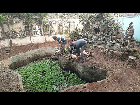 Cleaning an abandoned mountain and small waterfall, we unexpectedly found a STRANGE CREATURE!