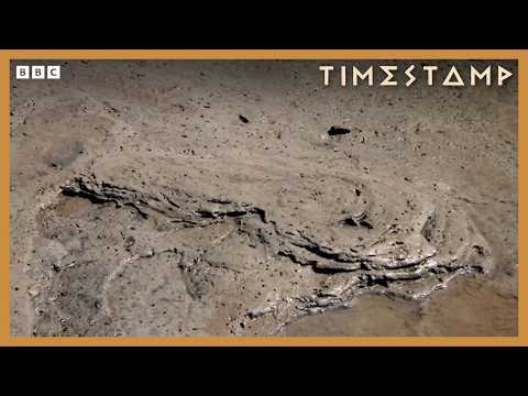 What 8,000 Year Old Bones tell us about our history | BBC Timestamp