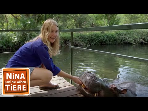 Happy End mit Flusspferd | Reportage für Kinder | Nina und die wilden Tiere