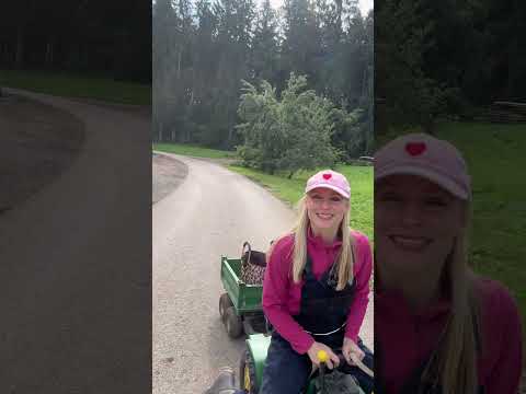 POV: Du lebst auf einem Bauernhof