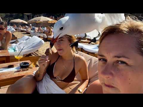 Viral Idiots Compilation | Best Fails of the Week