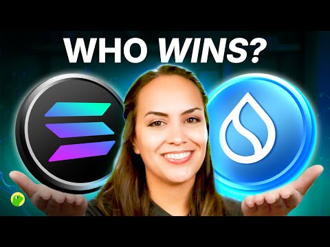 Is SUI the SOLANA of This Bull Market??