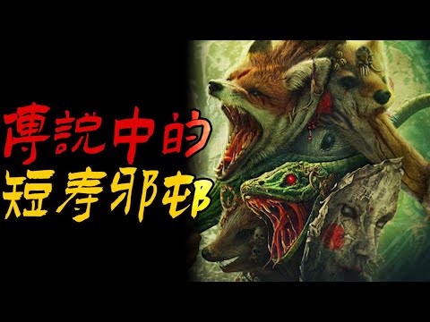 传说中的短寿邪村|恐怖牛肉面|考古可不是这么好学的|鬼故事|恐怖故事|解压故事|灵异#都市傳說#靈異事件#天津#佛牌#泰国#恐怖故事#亲身经历#助眠#睡前故事#西安#古墓#horror#ghost