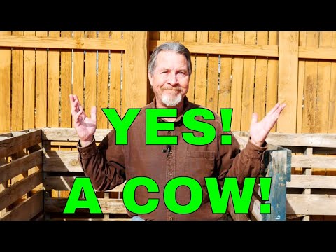 10 Crazy Things You Can Compost