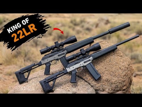 Top 10 Tactical 22LR Rifles Nobody Expected To Be This Serious!