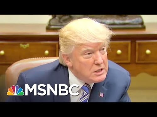 Language Expert: Donald Trump's Way Of Speaking Is 'Oddly Adolescent' | The 11th Hour | MSNBC