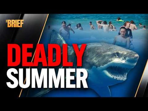 Sydney's Summer of Terror: Inside the 2026 Shark Attacks | The Brief