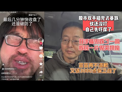 中国股市双手插兜式暴跌 仗还没打自己先尿了|双手插兜跌了一周 中国股民鬼哭狼嚎|苗苗再不道歉 又该3000点保卫战了