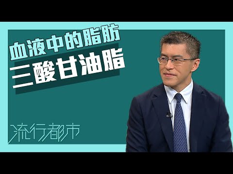 流行都市|血液中的脂肪|三酸甘油脂|血脂