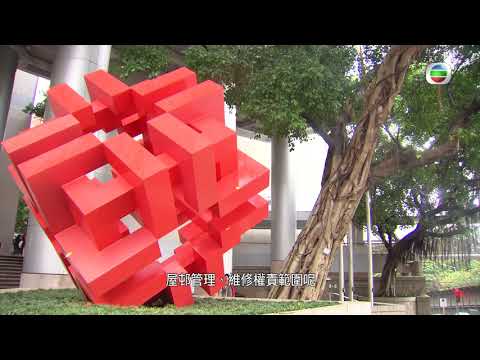 新聞透視 - 易買難管