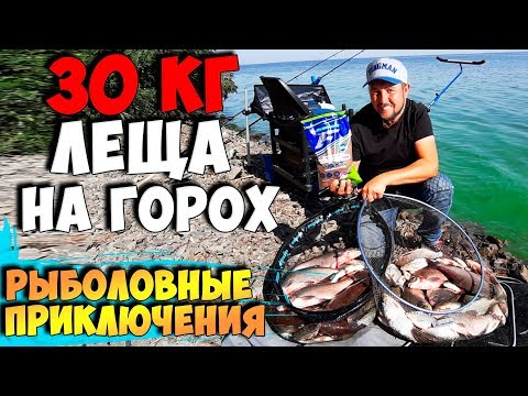 Ухх! Вот это рыбалка! 30 КГ ЛЕЩА НА ГОРОХ! Ловля леща на фидер осенью! Рыболовные приключения 16!