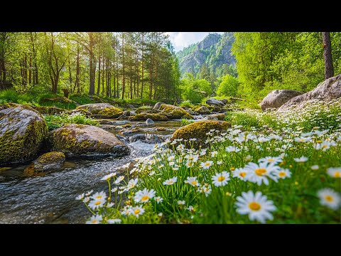 Music heals the heart and blood vessels, peaceful music restores the nervous system, relaxing