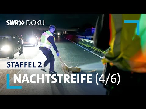 Nachtstreife - In tödlicher Gefahr | Folge 4/Staffel 2 | SWR Doku
