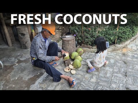 House update in Thailand