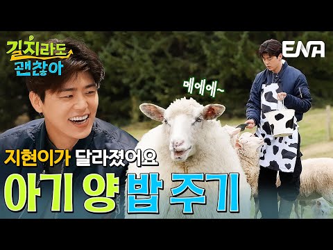 박지현이 달라졌어요✨ 일본의 알프스 초원! 홋카이도 양 떼 목장 체험🐏 #길치라도괜찮아 EP.6