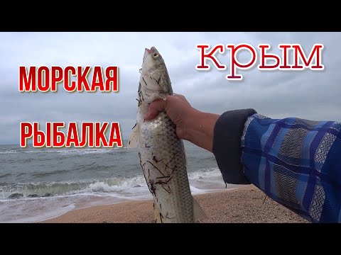 На Арабатке Соляное пошла рыба Мест нет