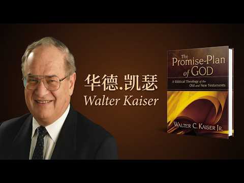 你读的是碎片,还是整本圣经|凯瑟《神的应许计划》给出的关键答案