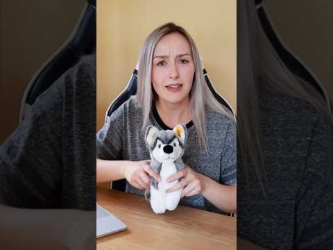 Fake News: Der Schattenwolf ist doch nicht zurück 😭🐺 #schattenwolf #fakenews