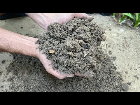 أفضل تربة زراعية استخدمتها بعد سنين طويلة من التجارب سوف تجعل نباتاتك وأشجارك بأحسن حال🌿👌جربوها