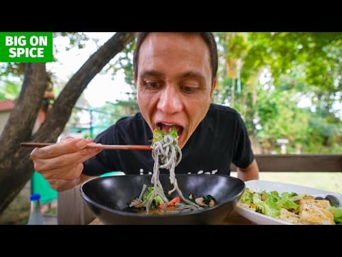 Japanese Food - Eating CHARCOAL HEMP UDON! | Chiang Mai, Thailand
