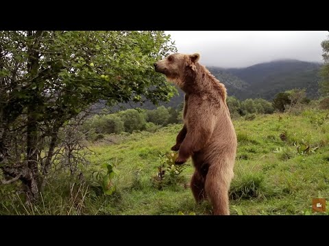 Wild France as you have never seen it Opus 1