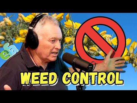 WEEDS PART 1: What They’re Really Telling You About Your Soil