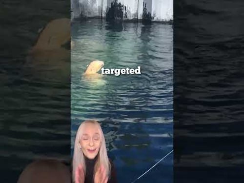 Take Back What You Love