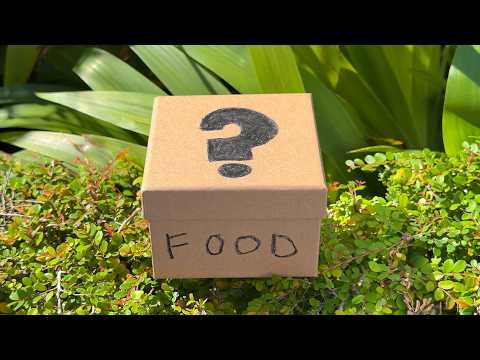I Tried Food Mystery Box