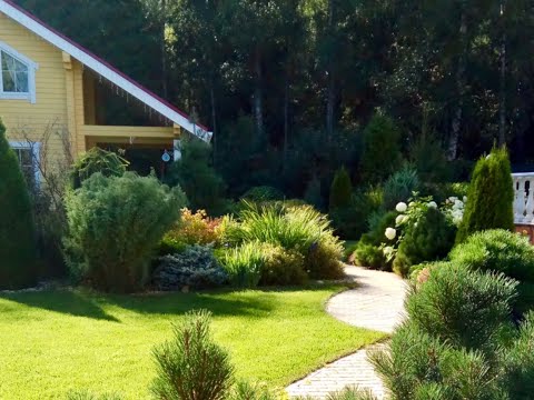 ❖ Сад с продолжением ❖ / Сады от Ольги Болговой / Gardens by Olga Bolgova