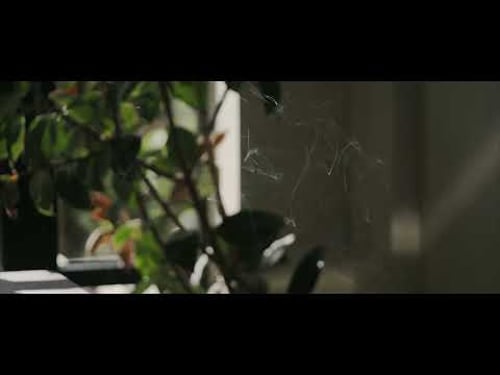 Unfurling Ribbons of Scent. - Grounding Rituals