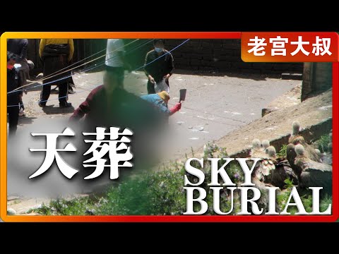 天葬到底有多吓人?丨万里走单骑#旅行 #天葬 #travel #自驾游 #旅游