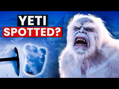 Mystery of Yeti | Does it exist?