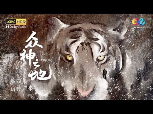 【ENGSUB】EP4 东北虎现身!冬季猎鹿罕见画面震撼曝光🐯 这只改写东北虎保护历史的母老虎身上有着哪些传奇故事?《众神之地 The Land of Spirits》