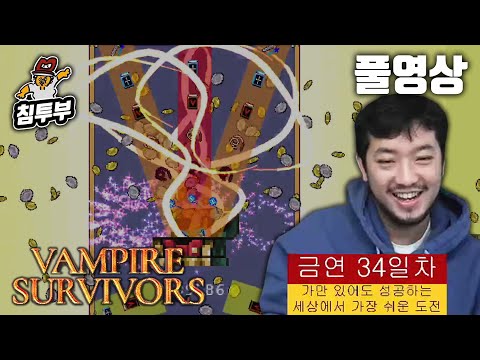 ⟪뱀파이어 서바이버즈⟫ 픽셀 맛집