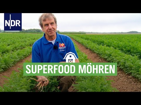 Hochsaison im Möhrenland | Die Nordreportage | NDR