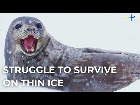 Global Warming on the Frontline | Guardians of Our Planet EP3