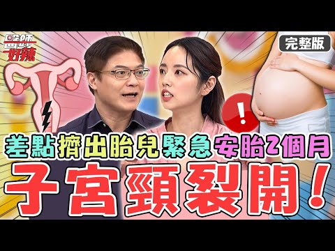 懷孕5大迷思!阿諾懷胎5個月「子宮頸裂開」擠出胎兒!差點早產緊急安胎2個月?【#醫師好辣】20221208 完整版 生過才知道 EP1463 詹景全 柯世祐