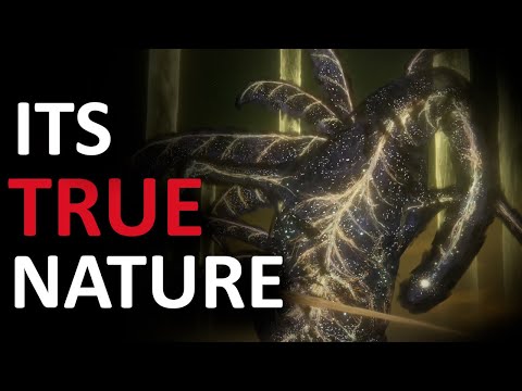 What is the True Nature of the Greater Will?