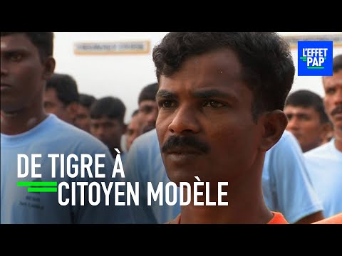 Guérilla : des prisonniers dressés au Sri Lanka