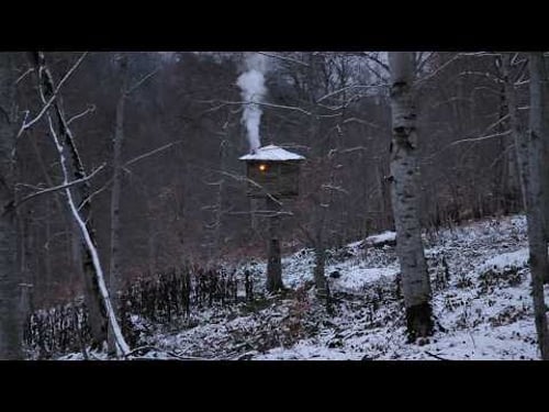 Extreme Cold Bushcraft: Alone in the Cabin When Something Screamed
