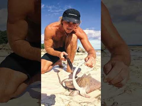 Giant Deadly Sting Ray Catch and Cook Survival