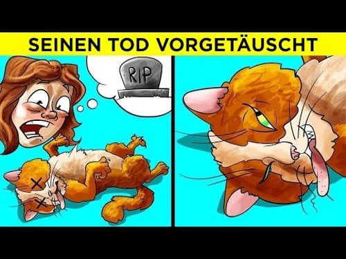 Diese Tiere bringen dich garantiert zum Lachen