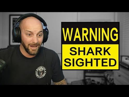 SHARKS! The Warning - First Reaction!