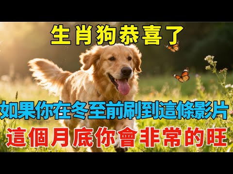 生肖狗恭喜了,如果你在冬至前刷到這條影片,這個月底你會非常的旺。【生肖開運社】#生肖 #命理 #運勢 #屬相 #風水