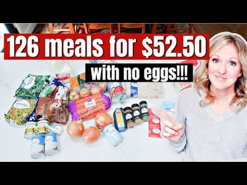 HOW TO EAT FOR $1.25 a day | NO EGGS EXTREME BUDGET CHALLENGE GROCERY HAUL 2023