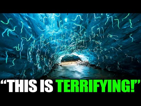 Antarctica Was Hiding Something for Millions of Years And It’s Finally Showing